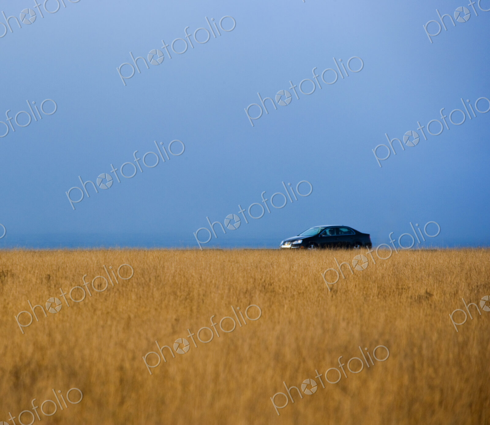Solitary Car On Road Through Winter Grass