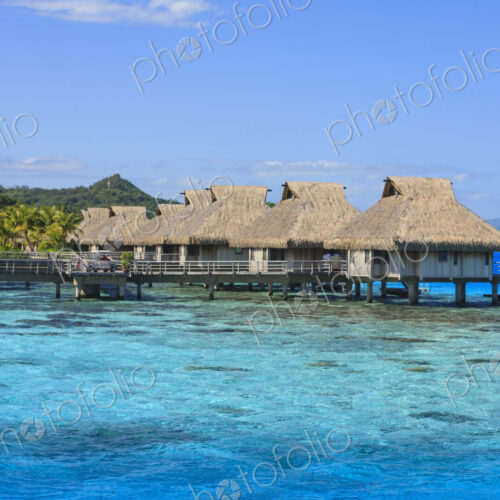 South Pacific Tahiti South Pacific Tahiti