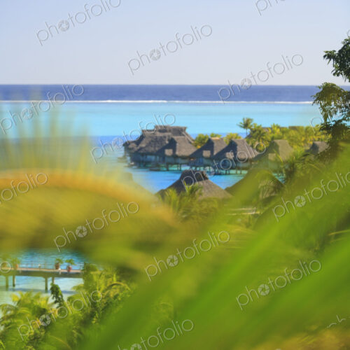 South Pacific Tahiti South Pacific Tahiti