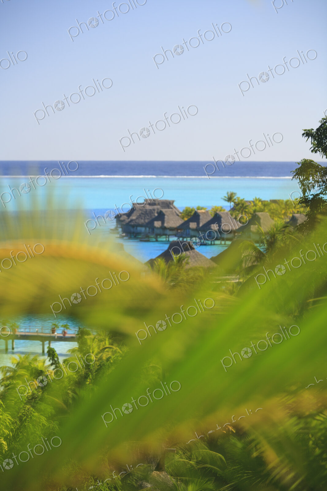 South Pacific Tahiti