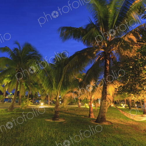 South Pacific Tahiti South Pacific Tahiti
