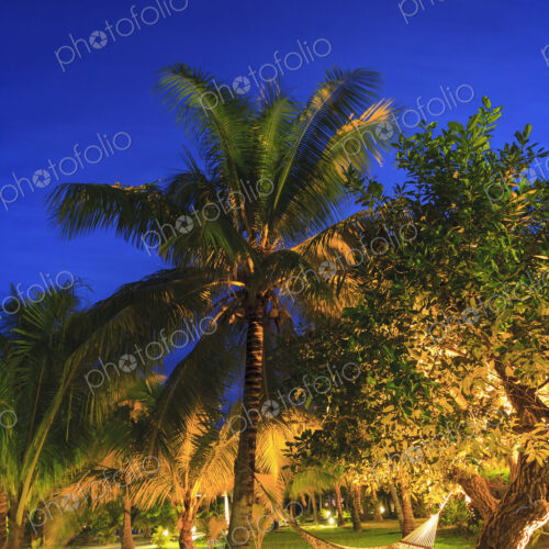 South Pacific Tahiti South Pacific Tahiti