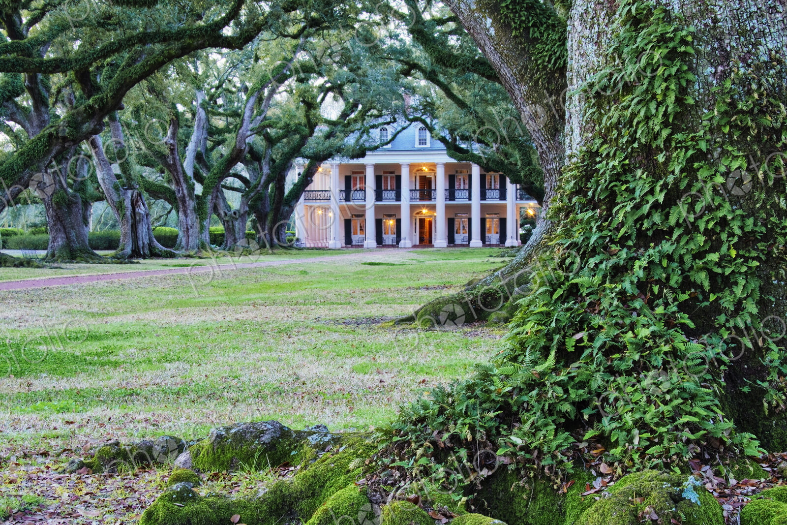 Southern Manor Home