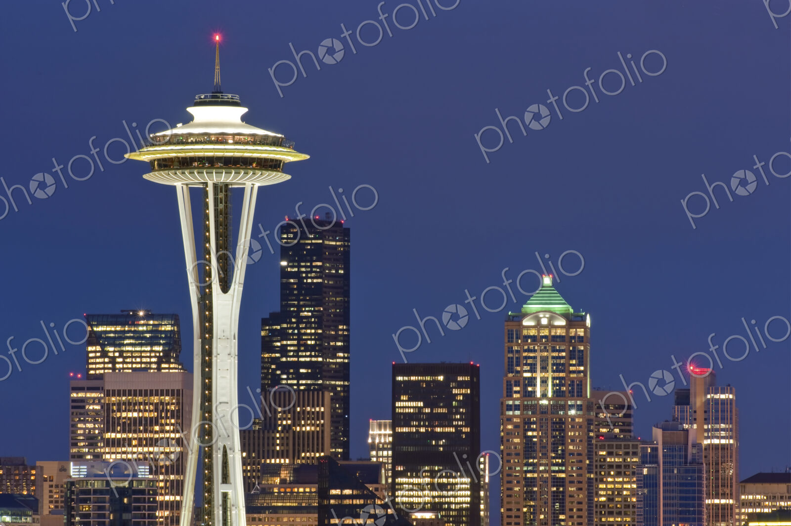 Space Needle and Downtown Seattle Skyline