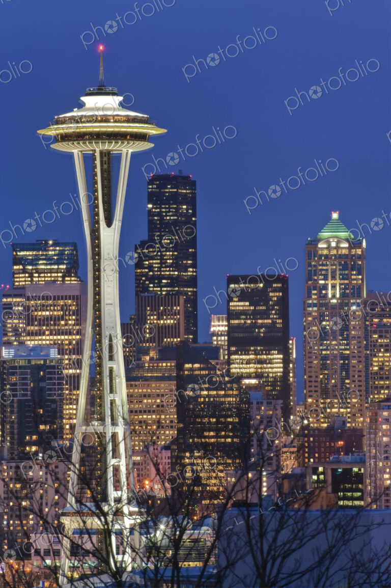 Space Needle and Downtown Seattle Skyline