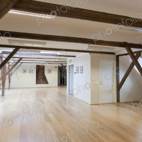 Spacious Conference Room