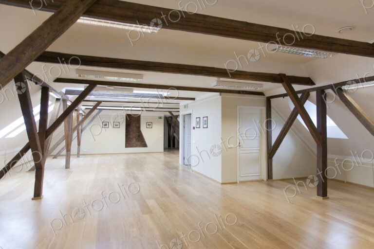 Spacious Conference Room