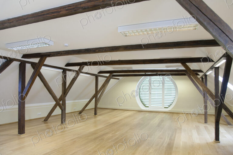 Spacious Conference Room