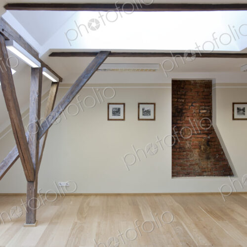 Spacious Conference Room
