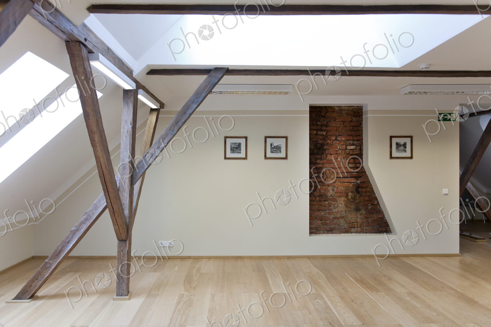 Spacious Conference Room