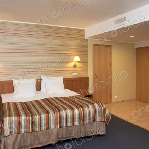 Spacious Hotel Room