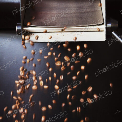 Specialist coffee shop. Roasted coffee beans being poured from a sieve. Specialist coffee shop. Roasted coffee beans being poured from a sieve.