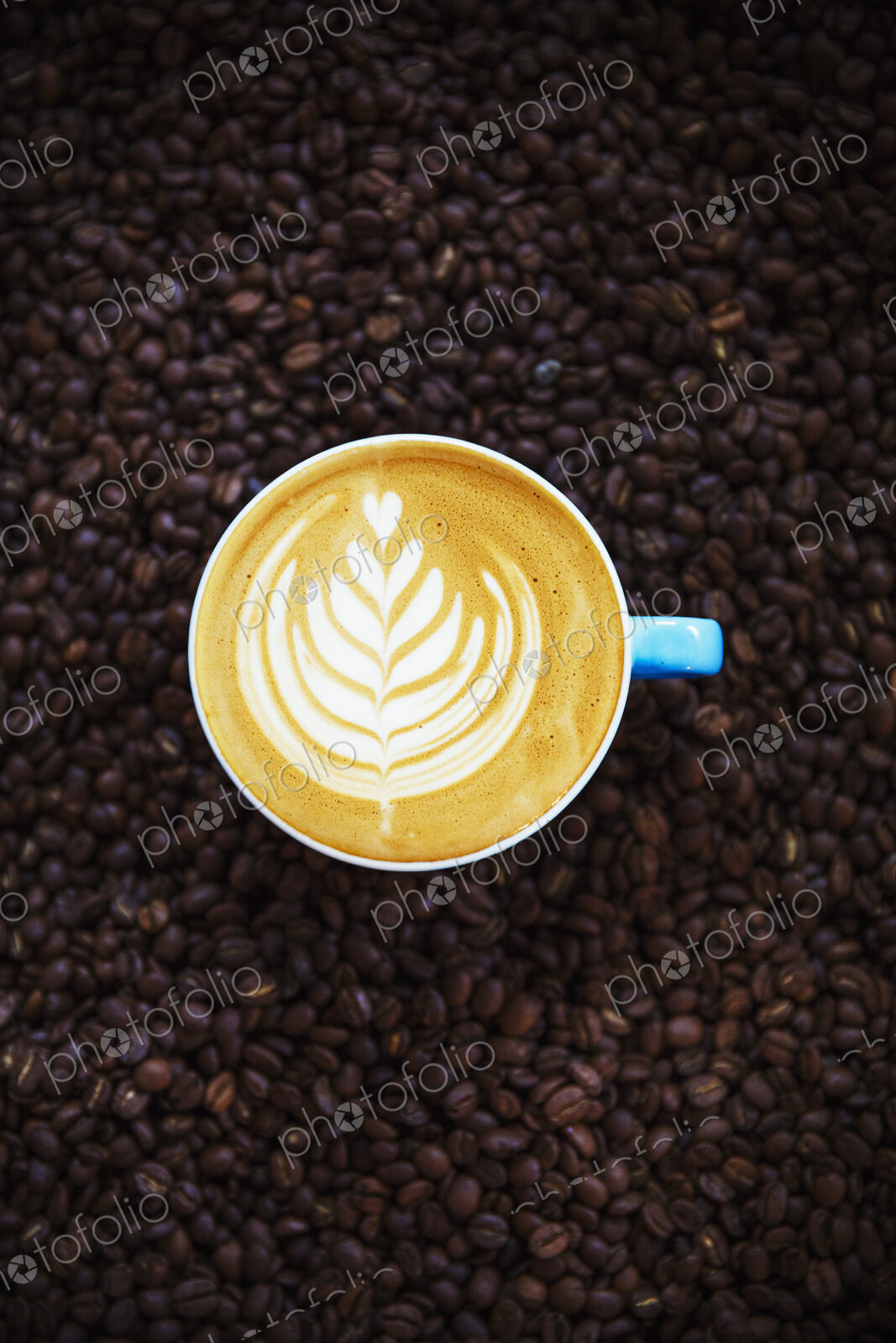 Specialist coffee shop. View from above of a cup of coffee with a complex pretty fern…