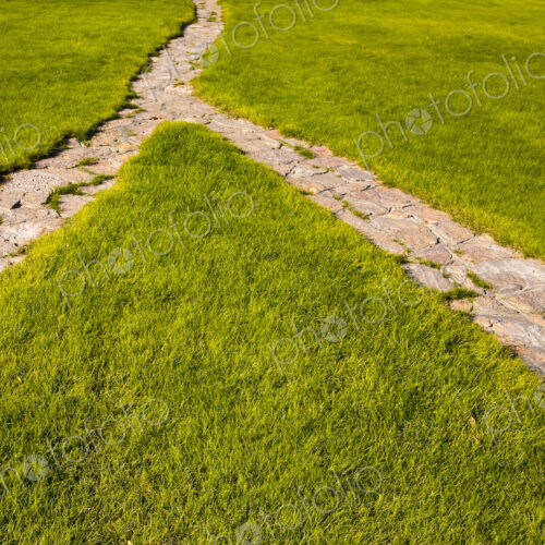 Splitting pathway through a field of grass, choice of direction. Splitting pathway through a field of grass, choice of direction.