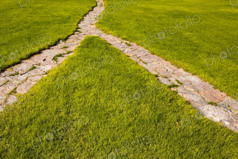 Splitting pathway through a field of grass, choice of direction.