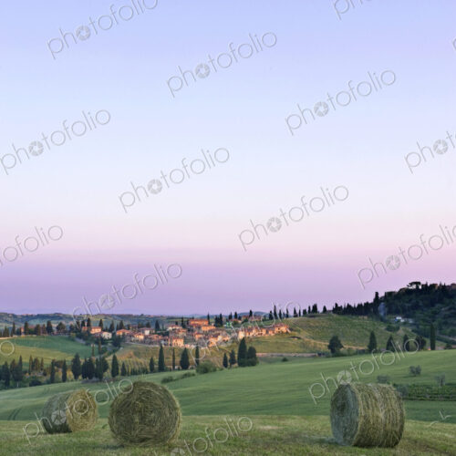 Spring Hay Harvest