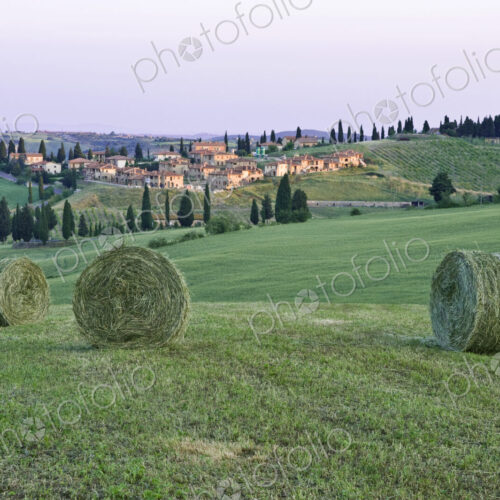 Spring Hay Harvest