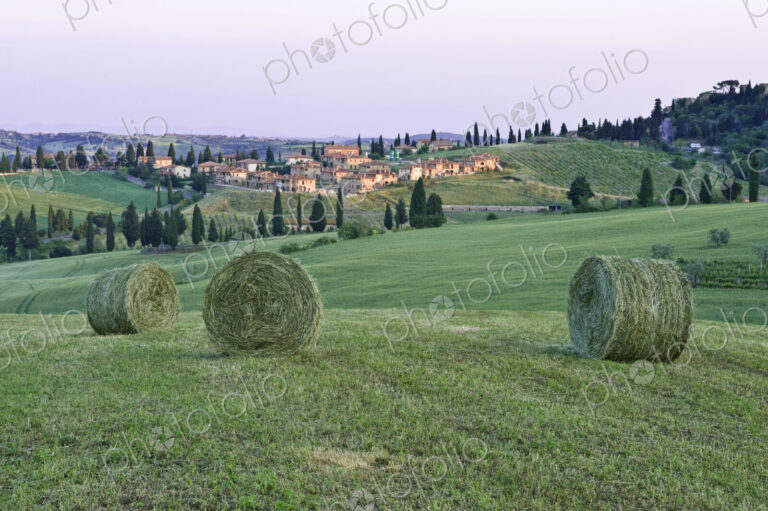 Spring Hay Harvest