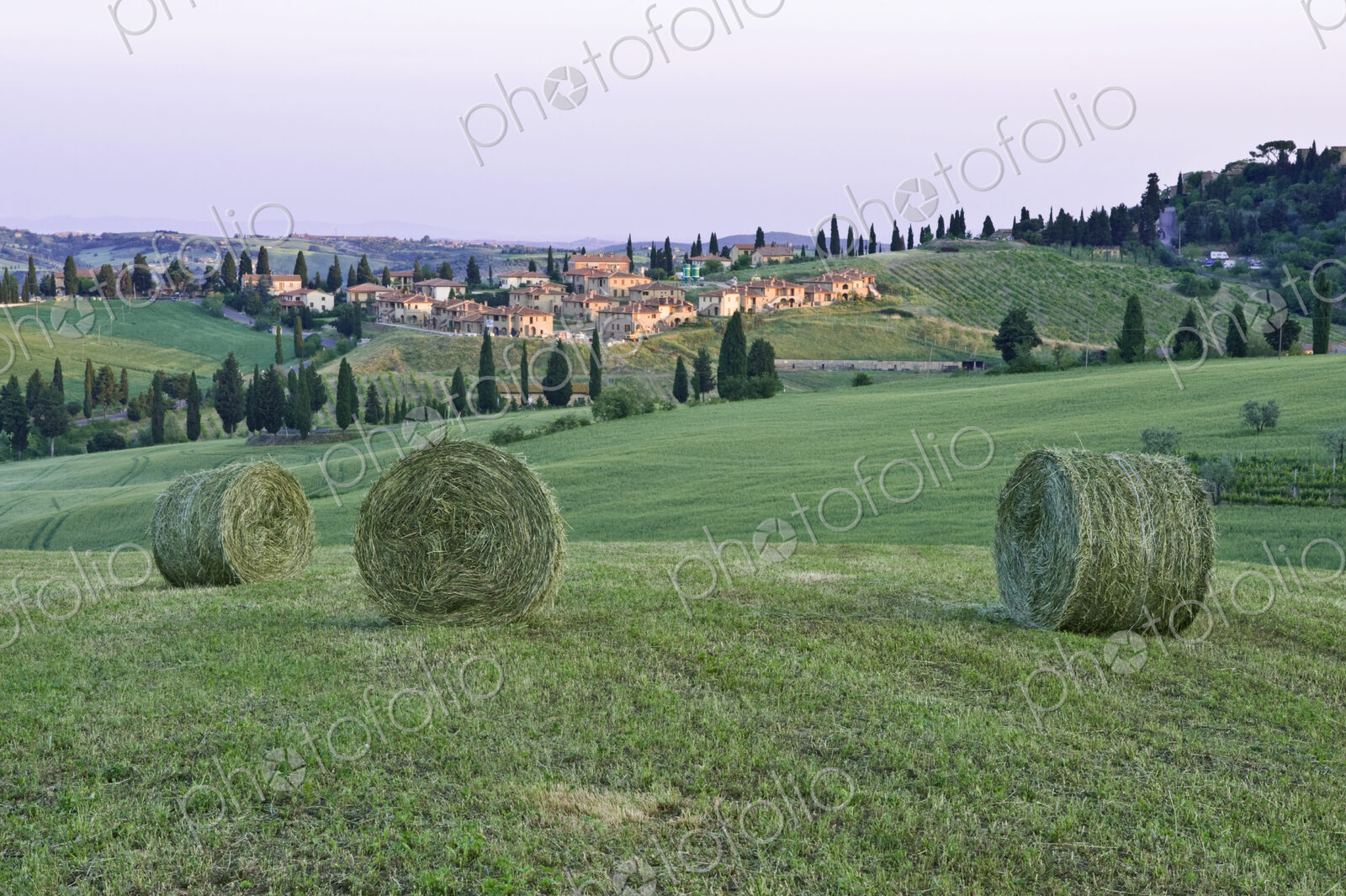 Spring Hay Harvest