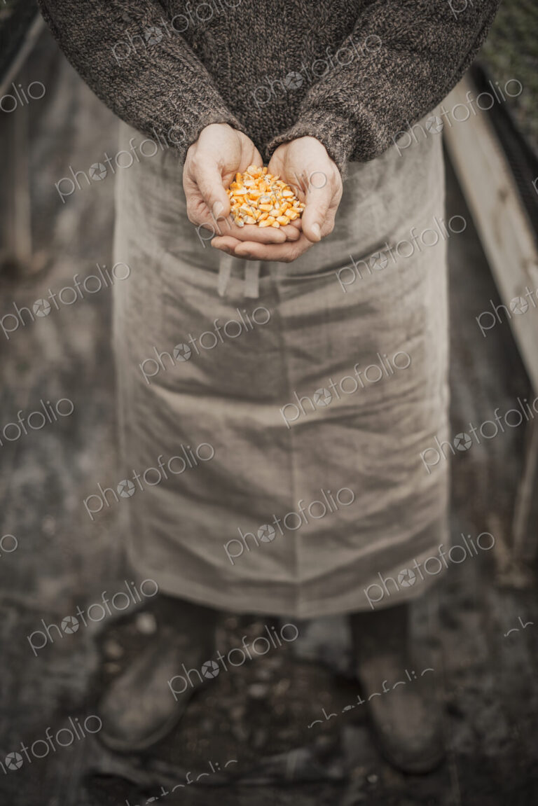 Spring Planting. A man holding a handful of plant seeds in his cupped hands.
