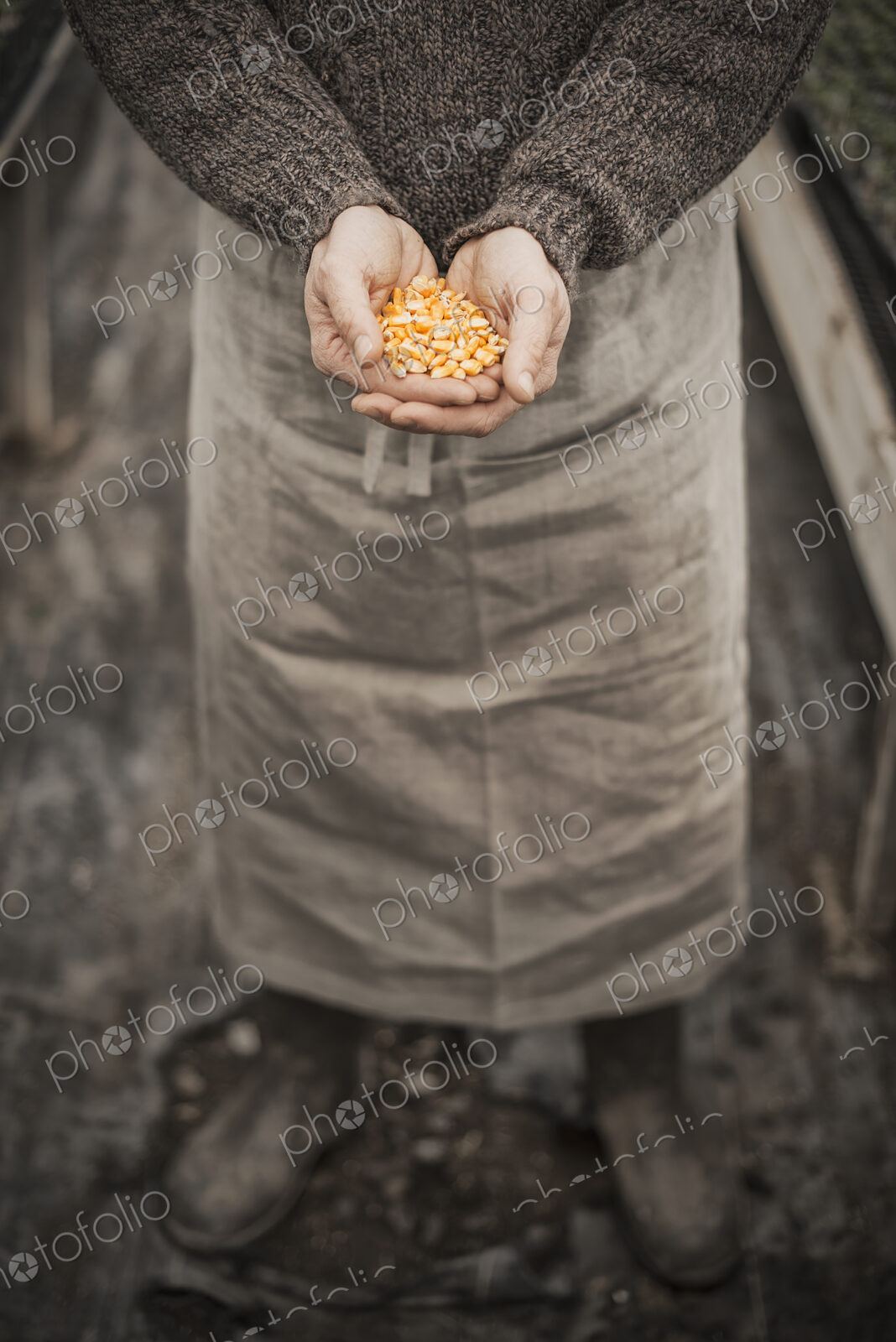 Spring Planting. A man holding a handful of plant seeds in his cupped hands.