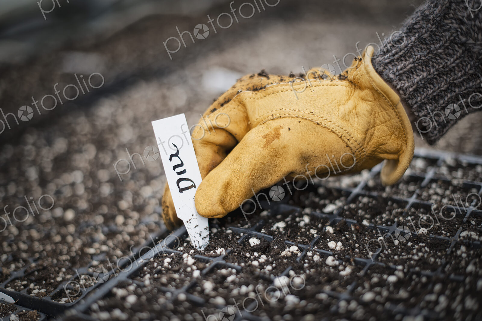 Spring growth in an organic nursery. Planting and labelling seed.