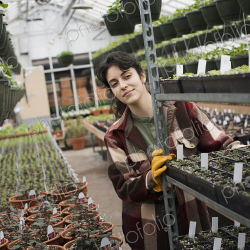 Spring growth in an organic plant nursery glasshouse. A woman pushing a trolley of… Spring growth in an organic plant nursery glasshouse. A woman pushing a trolley of…