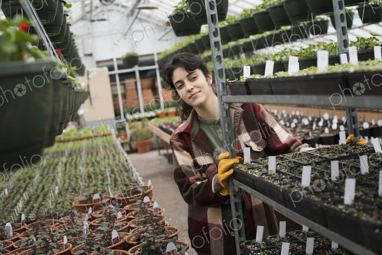 Spring growth in an organic plant nursery glasshouse. A woman pushing a trolley of…