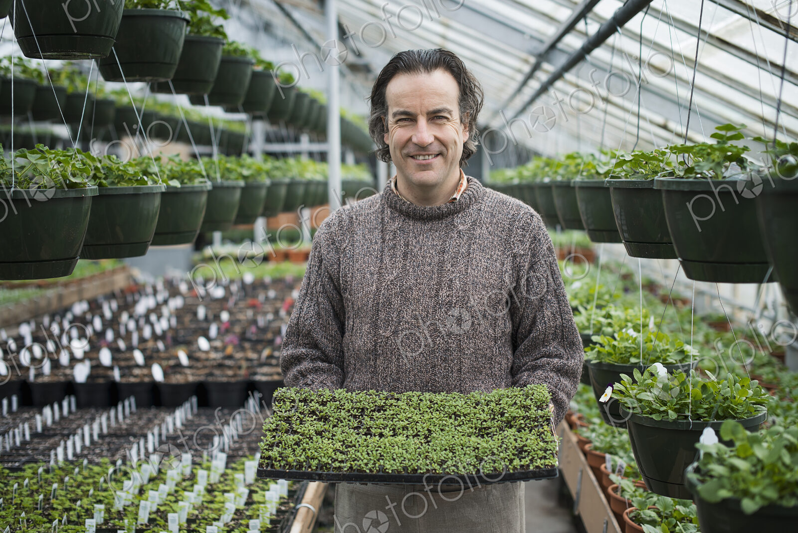 Spring growth in an organic plant nursery. A man holding a tray of healthy green…