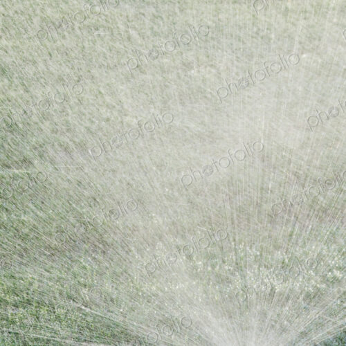 Sprinkler on Lawn Sprinkler on Lawn