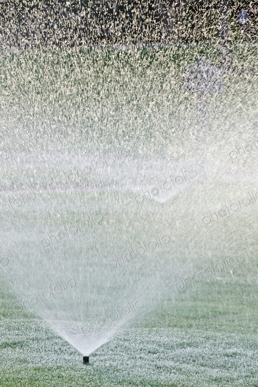 Sprinklers on Lawn