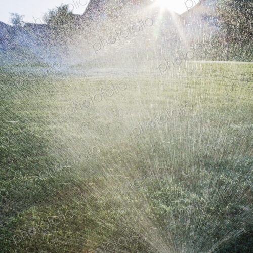 Sprinklers on Lawn