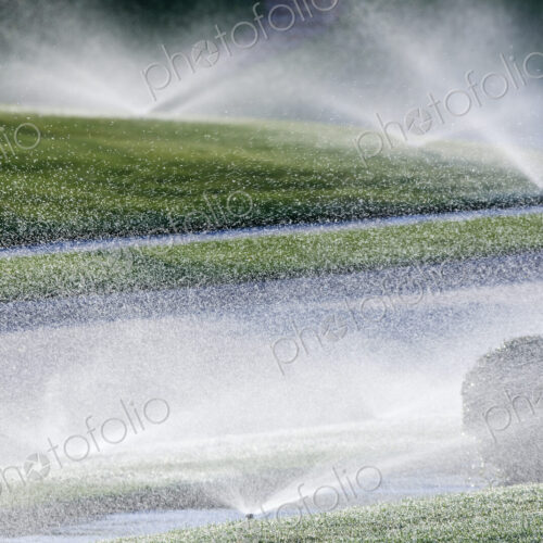 Sprinklers on Lawn Sprinklers on Lawn