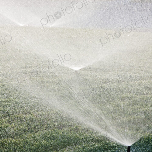 Sprinklers on Lawn
