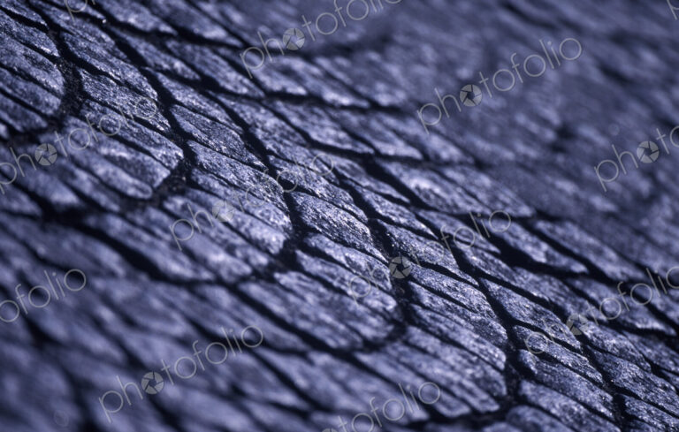 Square Paving Stones on Paris Street
