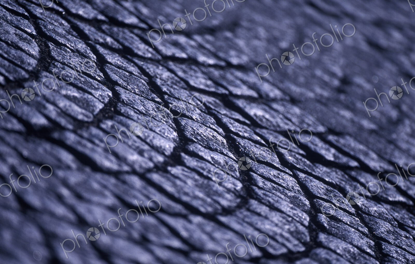 Square Paving Stones on Paris Street