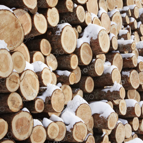 Stack of Wood Stack of Wood