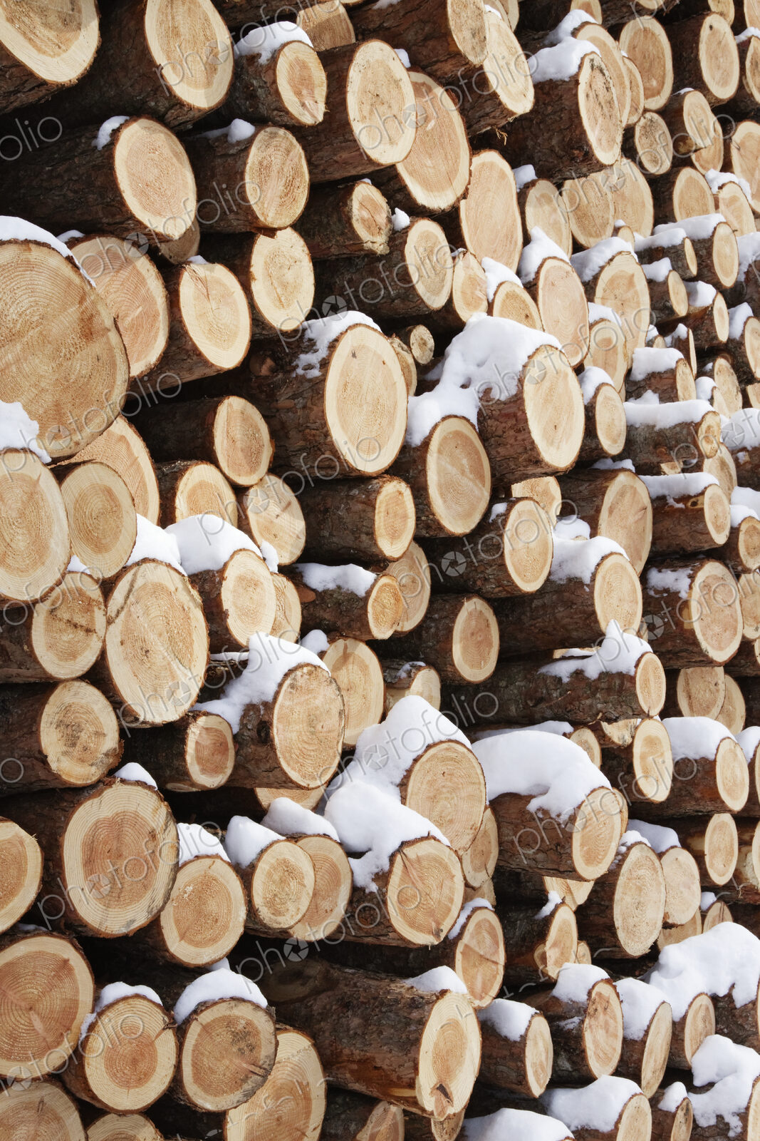 Stack of Wood