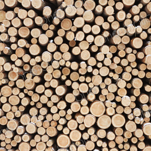Stack of Wood Stack of Wood