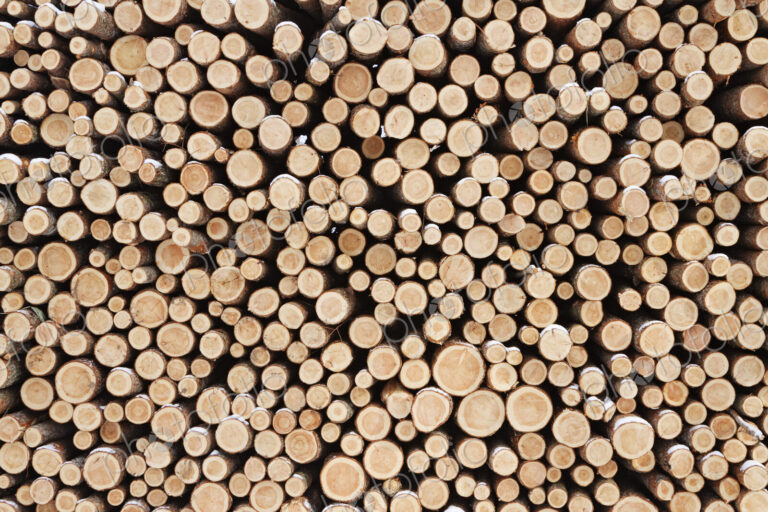 Stack of Wood