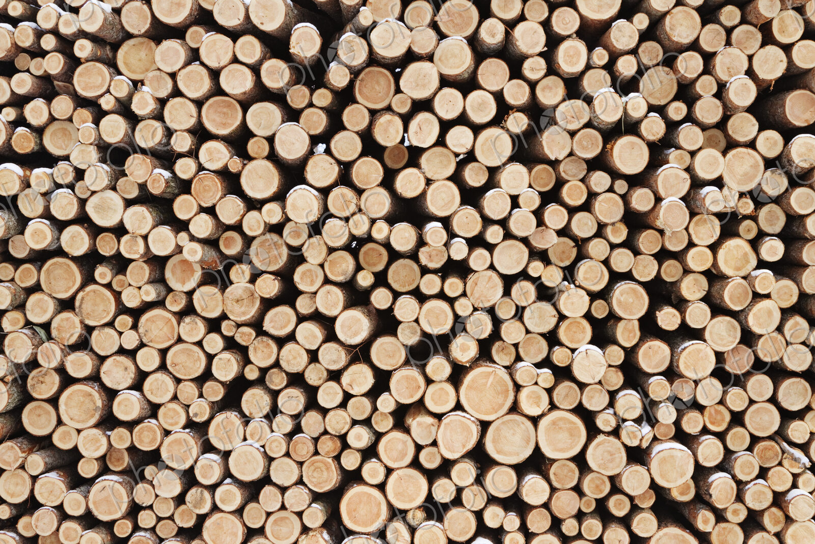 Stack of Wood
