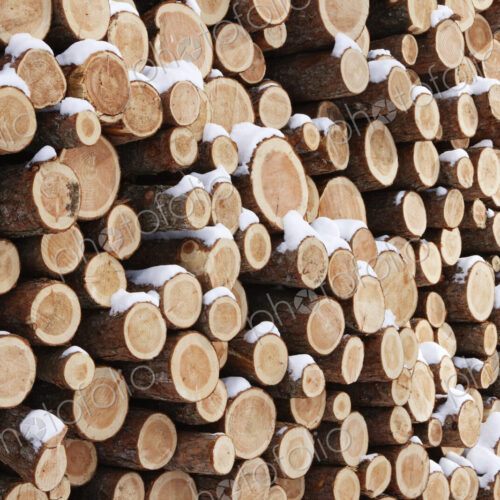Stack of Wood Stack of Wood