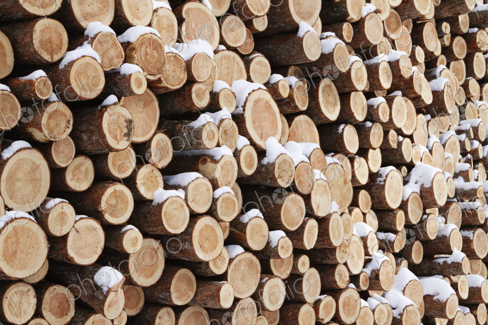 Stack of Wood