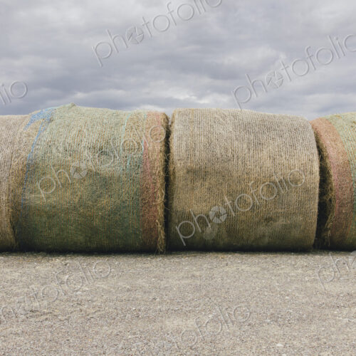 Stacked hay balesafter the harvest, winter fodder for animals.. Stacked hay balesafter the harvest, winter fodder for animals..
