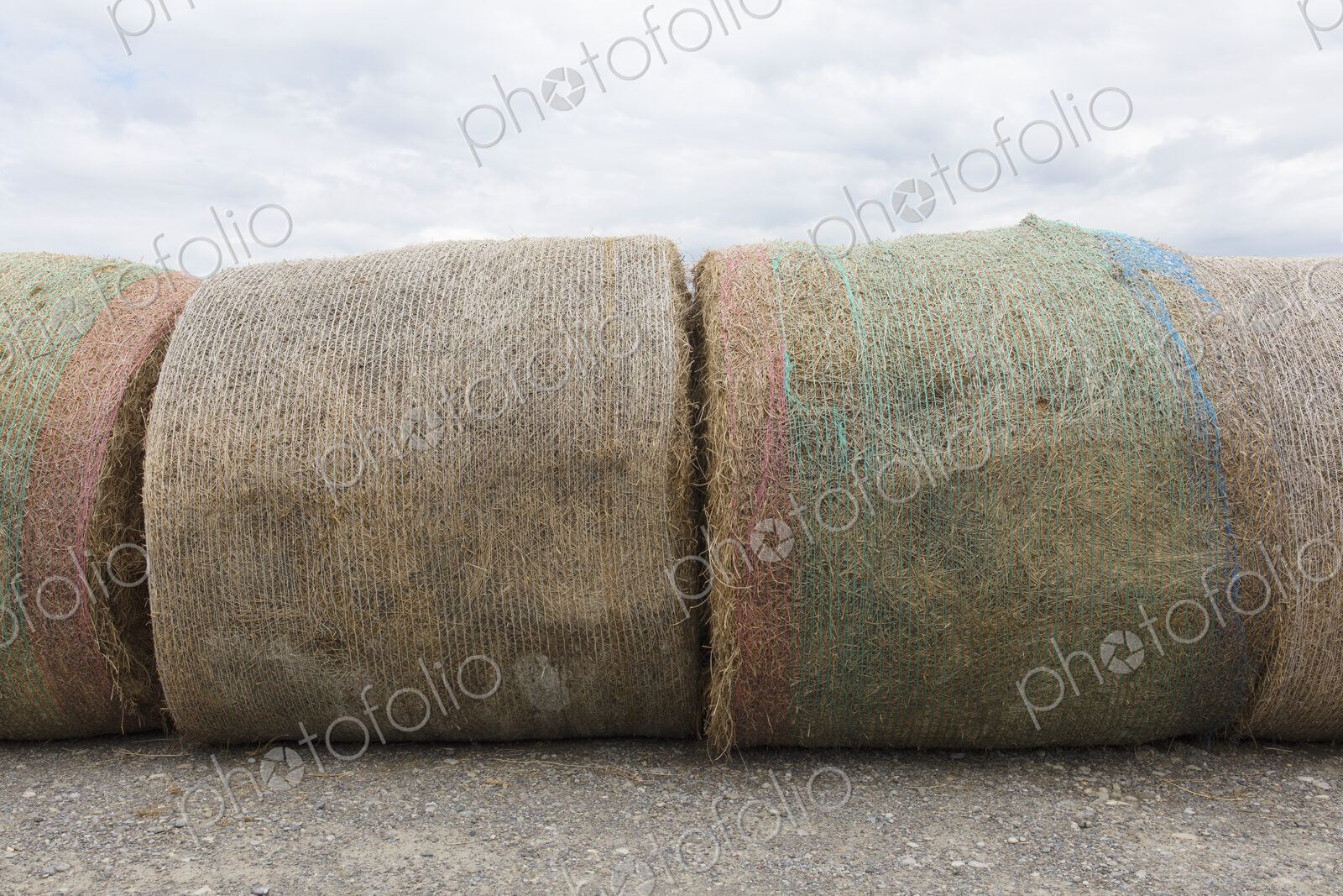 Stacked hay balesafter the harvest, winter fodder for animals..
