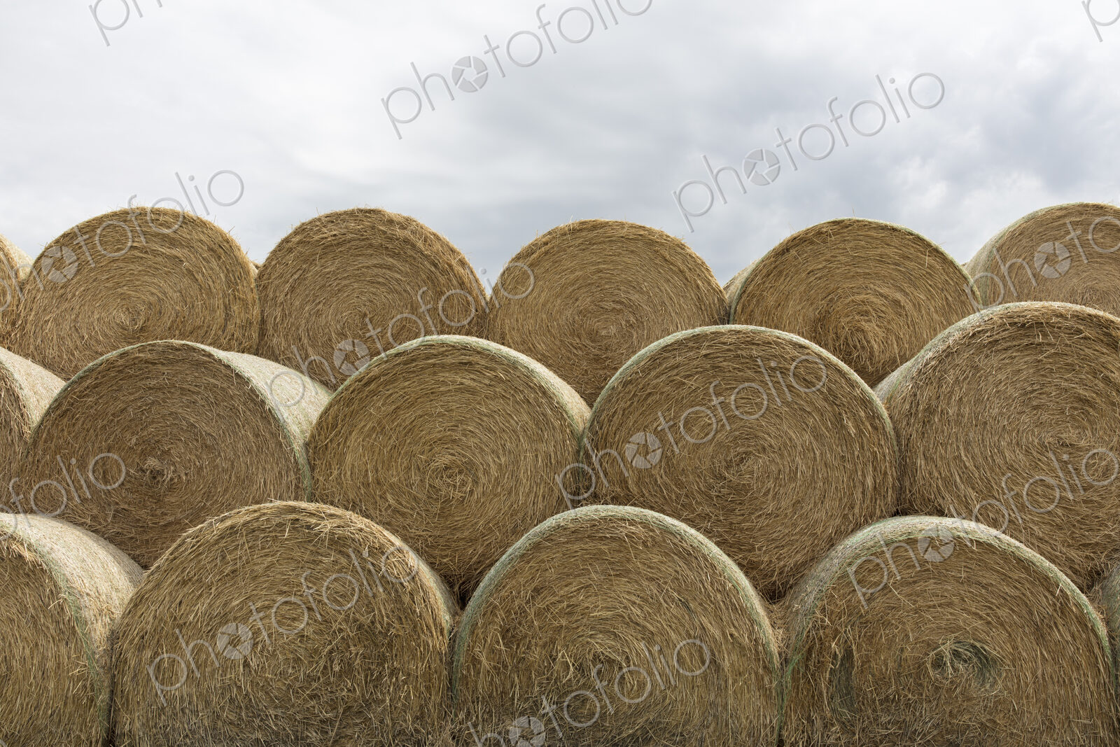Stacked hay balesafter the harvest, winter fodder for animals..