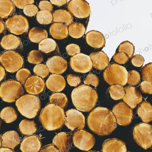 Stacked logs, freshly logged spruce, hemlock and fir trees