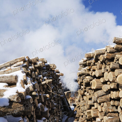 Stacks of Wood Stacks of Wood