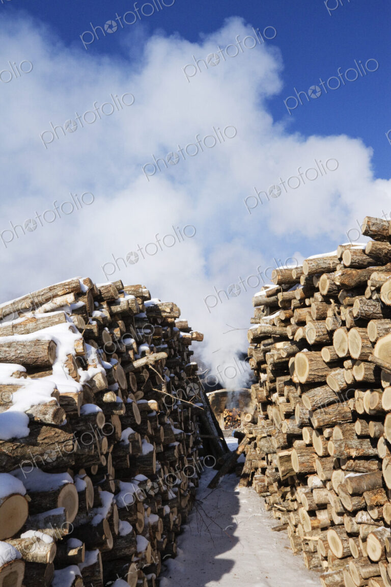 Stacks of Wood