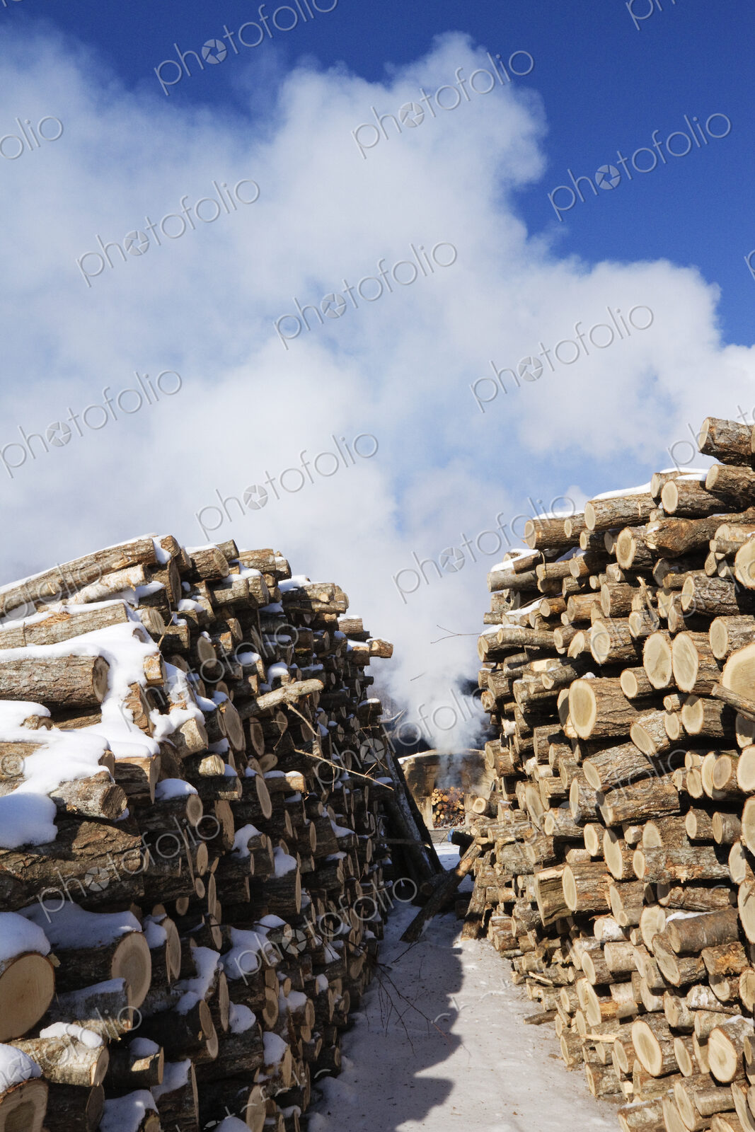 Stacks of Wood